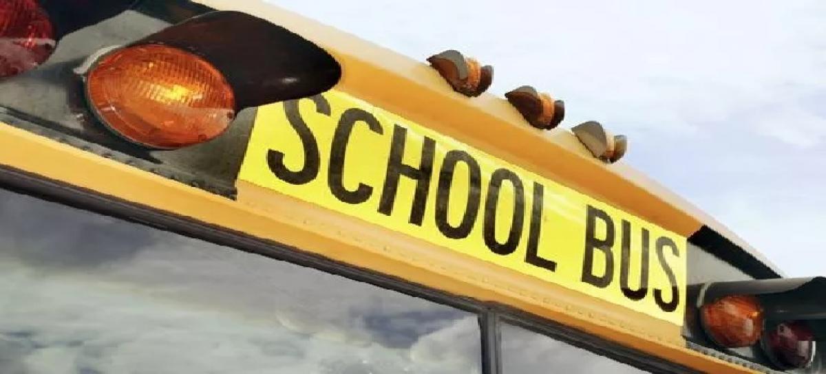 TSRTA suspends 15 school bus permits after two children run over